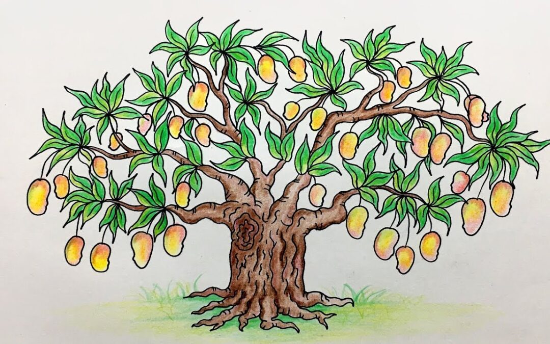 Mango tree scenery drawing / How to draw mango tree/ How to draw easy  scenery in 2023 | Easy drawings, Drawings, Art how